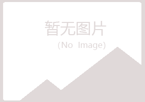 兴山区冬灵媒体有限公司